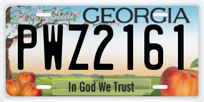 GA license plate PWZ2161