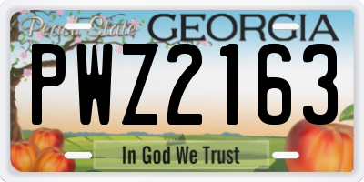 GA license plate PWZ2163