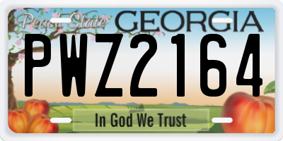 GA license plate PWZ2164