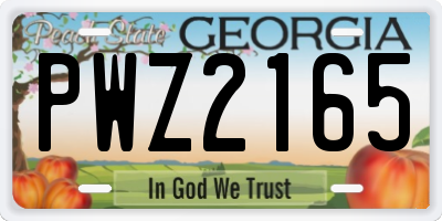 GA license plate PWZ2165