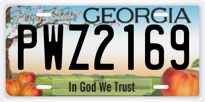GA license plate PWZ2169