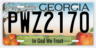 GA license plate PWZ2170
