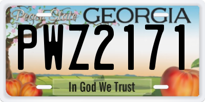 GA license plate PWZ2171