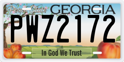 GA license plate PWZ2172