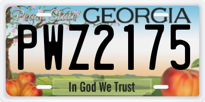 GA license plate PWZ2175