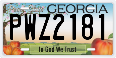 GA license plate PWZ2181