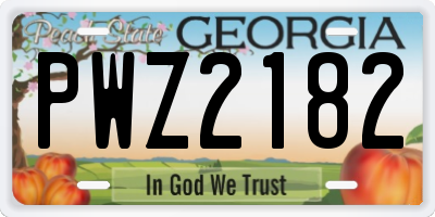 GA license plate PWZ2182