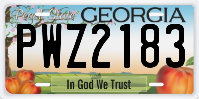 GA license plate PWZ2183