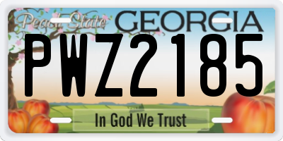 GA license plate PWZ2185