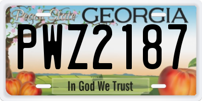 GA license plate PWZ2187