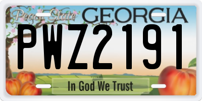 GA license plate PWZ2191