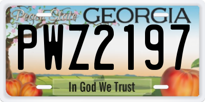 GA license plate PWZ2197