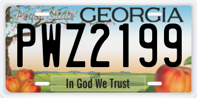 GA license plate PWZ2199