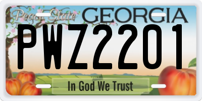GA license plate PWZ2201