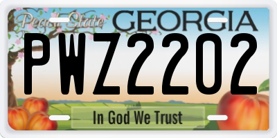 GA license plate PWZ2202