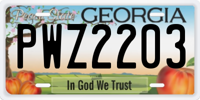 GA license plate PWZ2203