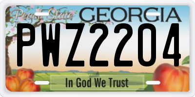 GA license plate PWZ2204