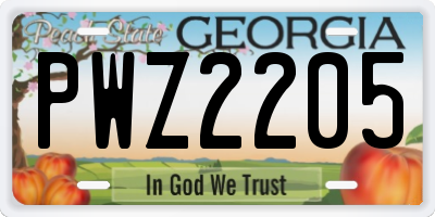 GA license plate PWZ2205