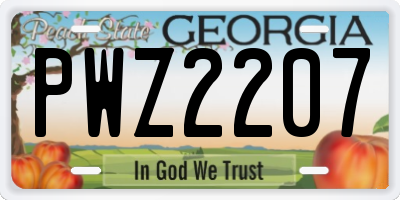GA license plate PWZ2207