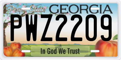 GA license plate PWZ2209