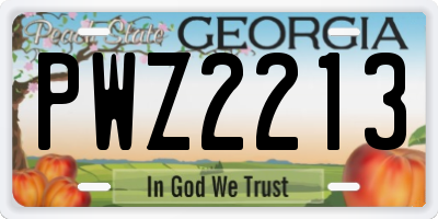 GA license plate PWZ2213