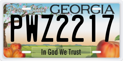 GA license plate PWZ2217