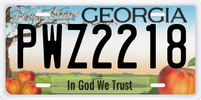 GA license plate PWZ2218