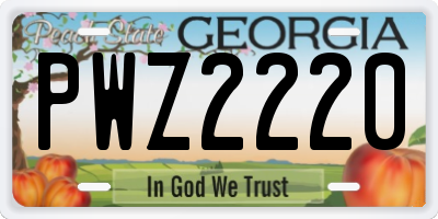 GA license plate PWZ2220