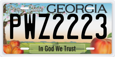 GA license plate PWZ2223
