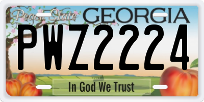 GA license plate PWZ2224