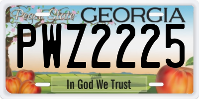 GA license plate PWZ2225