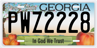 GA license plate PWZ2228