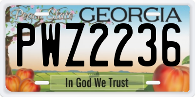 GA license plate PWZ2236