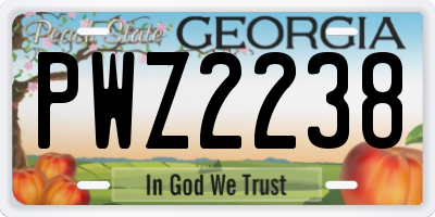 GA license plate PWZ2238