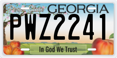 GA license plate PWZ2241
