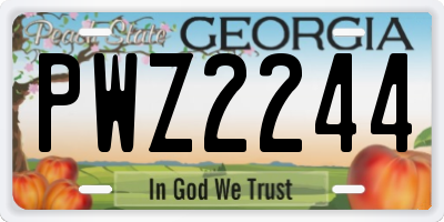 GA license plate PWZ2244