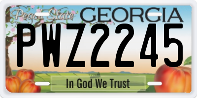 GA license plate PWZ2245