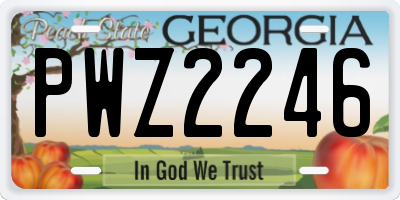 GA license plate PWZ2246