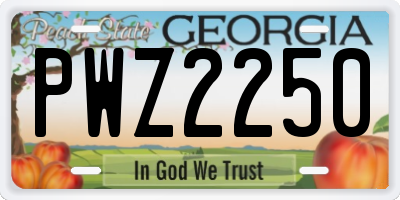GA license plate PWZ2250