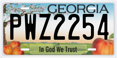 GA license plate PWZ2254