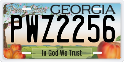 GA license plate PWZ2256