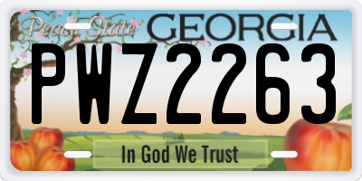 GA license plate PWZ2263