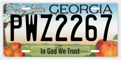 GA license plate PWZ2267