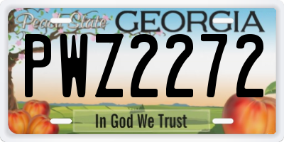 GA license plate PWZ2272