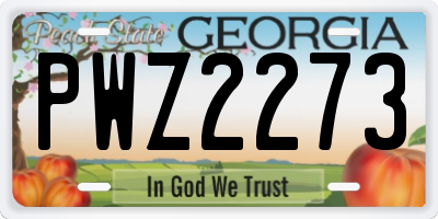 GA license plate PWZ2273