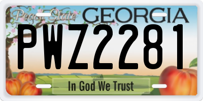 GA license plate PWZ2281