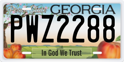 GA license plate PWZ2288