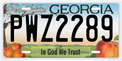 GA license plate PWZ2289
