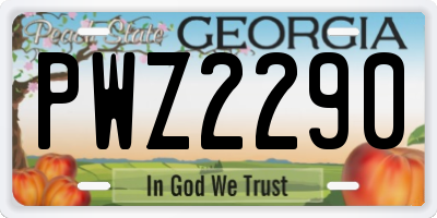 GA license plate PWZ2290