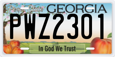 GA license plate PWZ2301